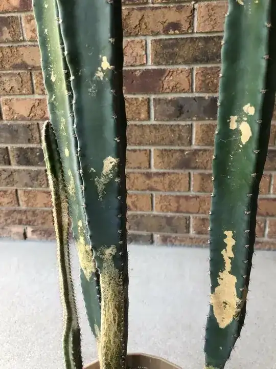 Close-up showing details of previous photo.