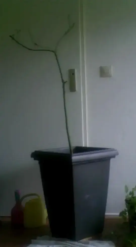 Avocado in large pot