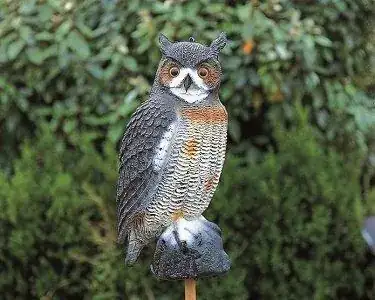 plastic owl
