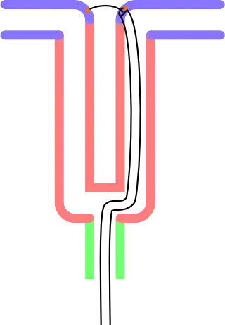 with feedline inside