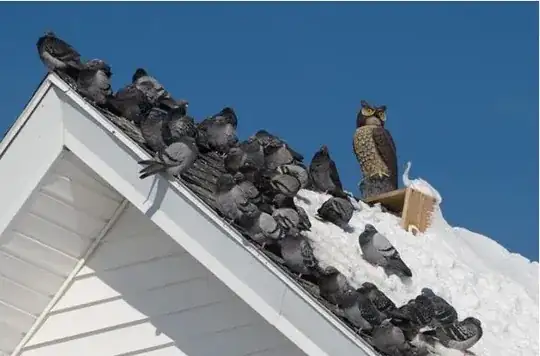 Plastic owl surrounded by pigeons