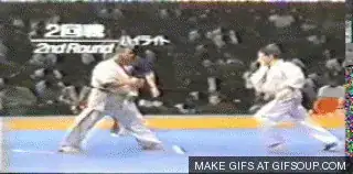 kyokushin liver punch knockdown