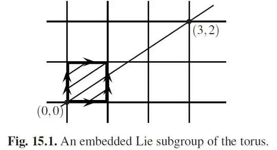 Fig. 15.1. An embedded Lie subgroup of the torus.