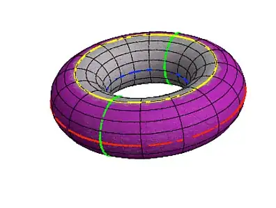 Torus