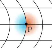 curvilinear coordinates with shaded quadrants