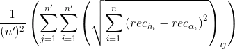 \frac{1}{(n')^2}\left ( \sum_{j=1}^{n'}\sum_{i=1}^{n'}\left ( \sqrt{\sum_{i=1}^{n}\left ( rec_{h_{i}}-rec_{\alpha_{i}} \right )^2} \right )_{ij} \right )