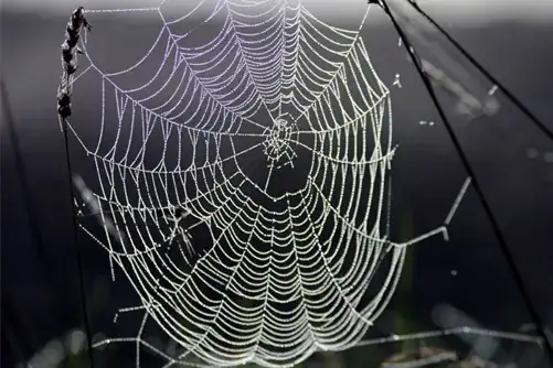 Mathematica graphics