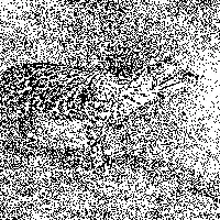 random stippling effect