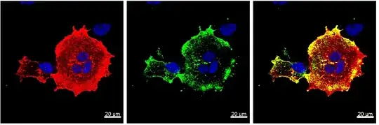 Mathematica graphics