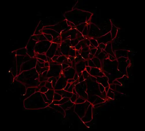 Mathematica graphics