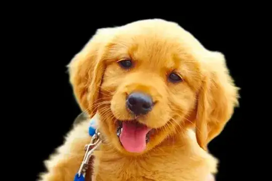 Mathematica graphics