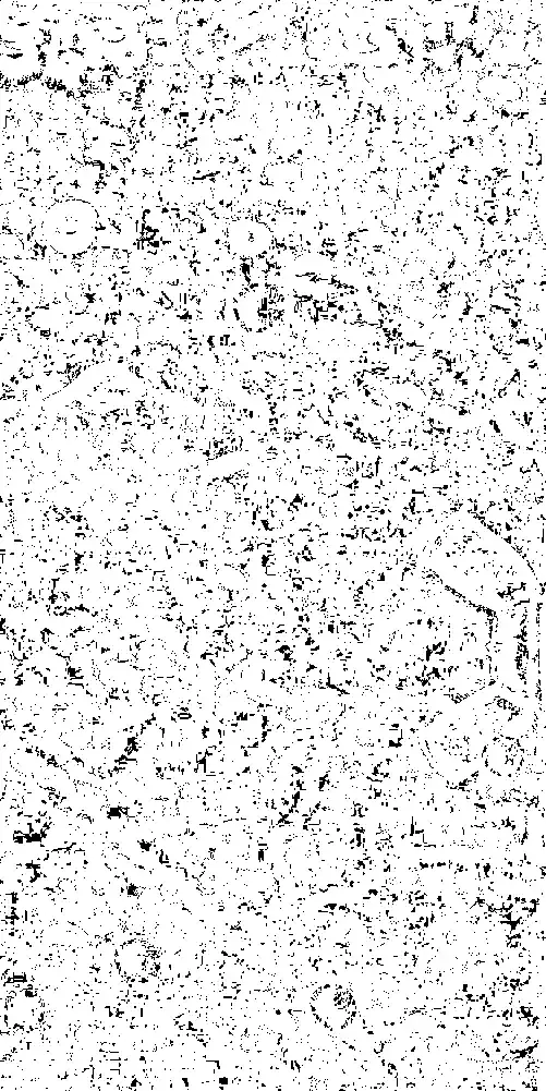 image of the bubbles