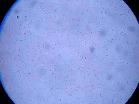 The final picture in my data set is also proving challenging