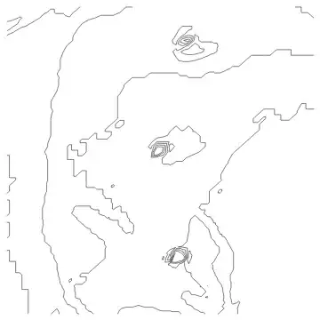 Analyzed photo with just black and white contours.