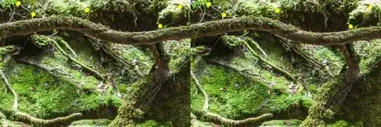 partitioned image with indexes [[2,2]]