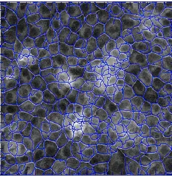 Mathematica graphics