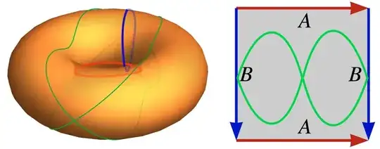 embedded torus picture cut open