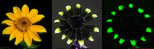 yellow flower compared with version showing UV patterns