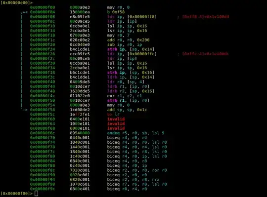 invalid instructions at offset 0xf60