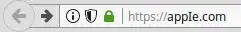 Screenshot of Firefox's URL bar demonstrating a homograph attack