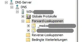 Microsoft Server 2008 R2: DNS Server structure