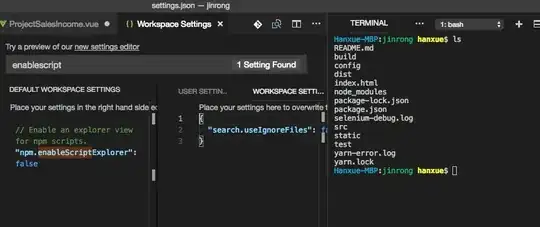 VS Code with panel on right