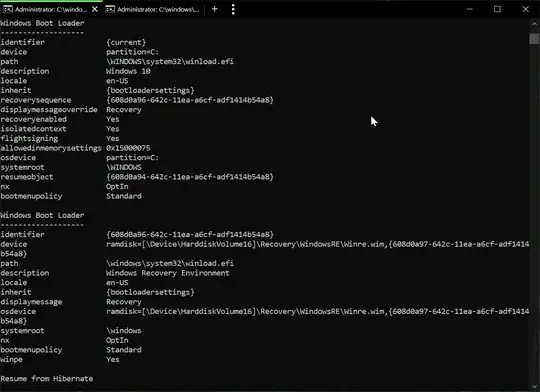 This is what bcdedit enum shows