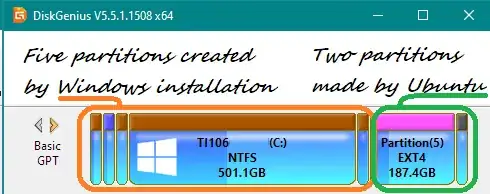 Windows & Linux Partitions