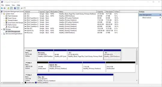 Disk management showing the new partition
