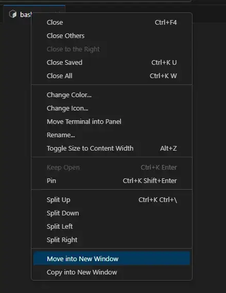 Screenshot showing VsCode context menu option "Move Into New Window".