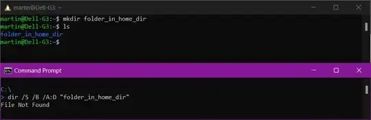 Folder created in home directory, but apparently does not exist anywhere