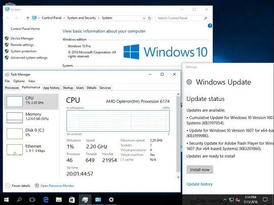 Windows 10 Professional Screenshot - 20 Days up time
