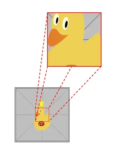 Duck with extra magnified duck