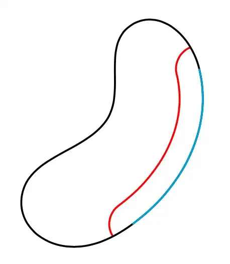 Bean with inner line