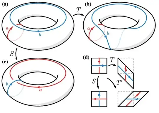 Modular S and T transformation taken from source: https://www.researchgate.net/figure/Modular-transformations-for-the-Torus-shown-in-a-generated-by-b-the-T-matrix-and_fig1_341341811