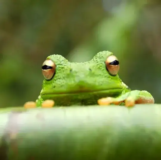 frog
