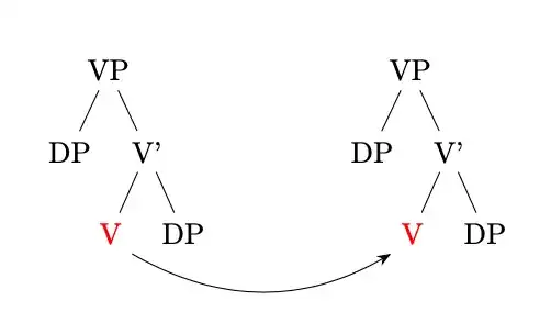 Two trees with arrow between them