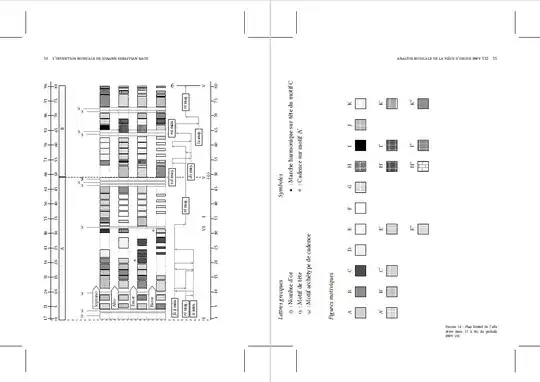 Layout problem of two successive largefigure