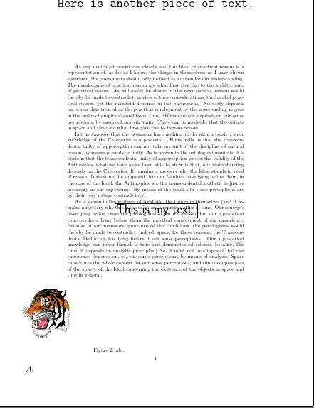 tiger at arbitrary position