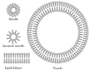 An example of what is possible using path decorators.