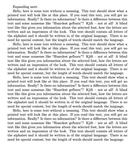 Screenshot of compiled output