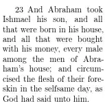 xelatex + emergencystretch