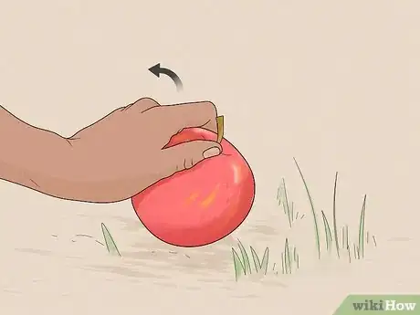 Image titled Keep Hornets Away Step 7