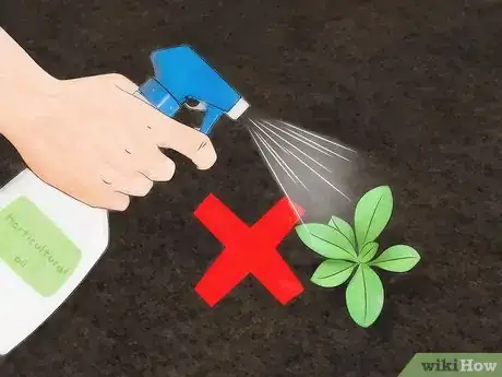 Image titled Get Rid of Scale Insects Step 16