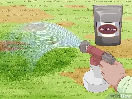 Image titled Get Rid of Moles in Your Garden Step 11