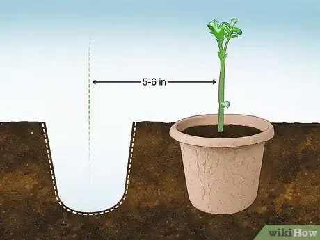 Image titled Grow Chickpeas Step 8