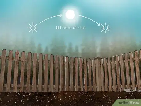 Image titled Grow Indigo Step 3