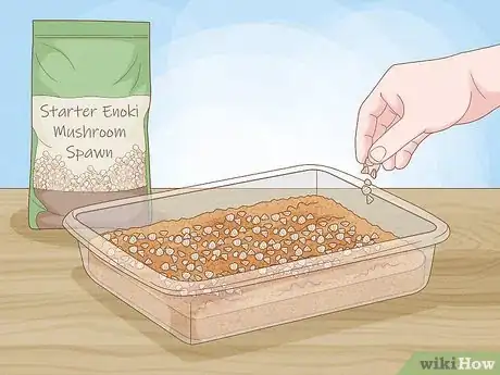 Image titled Grow Enoki Mushrooms Step 10