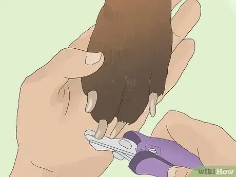 Image titled Protect Doors from Dog Scratches Step 5