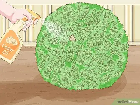 Image titled Mix Cedar Oil for Pest Control Step 5